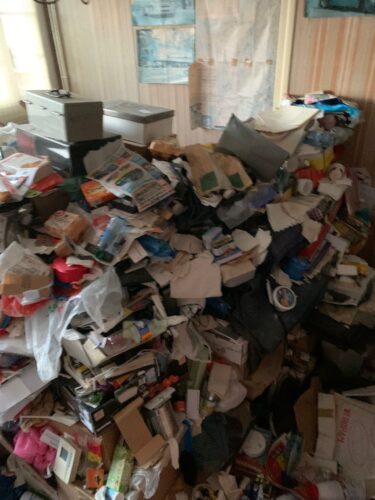 syndrome diogene exemple maison